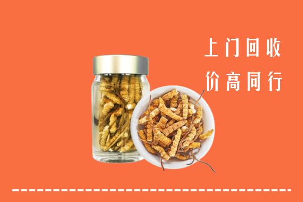 十堰回收冬虫夏草