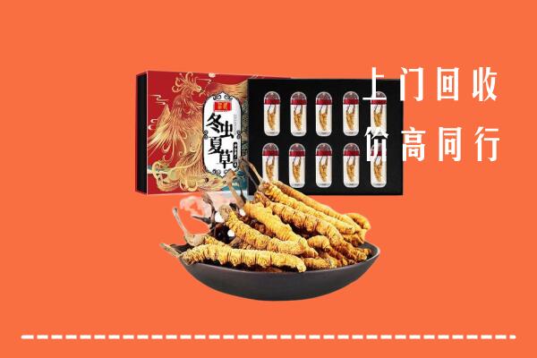十堰回收虫草